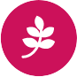 Flower Arrangements